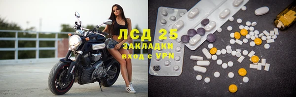 крисы Алексин
