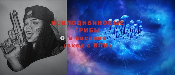 крисы Алексин