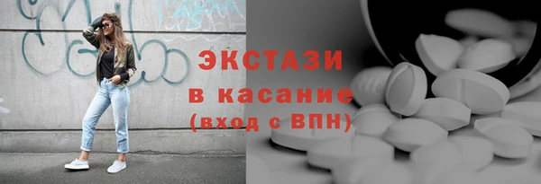 прущие грибы Новозыбков